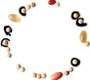 알고케어 뉴트리션